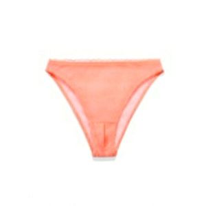 Savage x Fenty High Leg Bikini Mesh Crotchless Undies